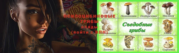 прущая мука Вязники